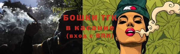 дживик Богородицк