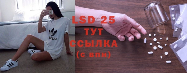 дживик Богородицк