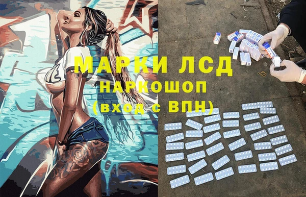 дживик Богородицк