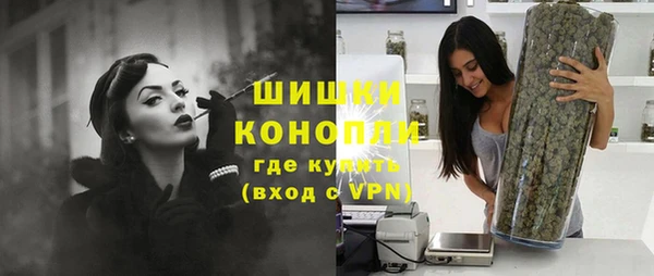 дживик Богородицк