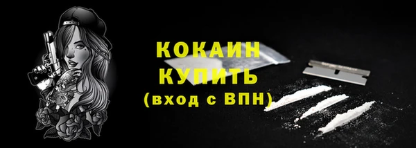 mdpv Богородск