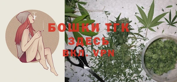 дживик Богородицк