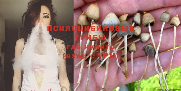 дживик Богородицк