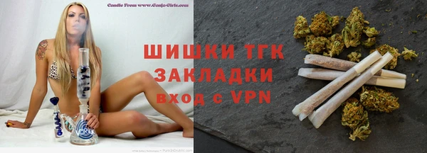 mdpv Богородск