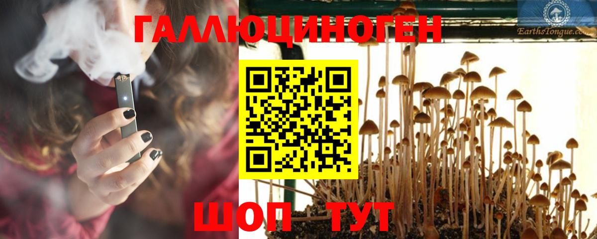 продажа наркотиков  Галлюциногенные грибы мухоморы  Вход с VPN  Малоярославец  Галлюциногенные грибы Psilocybine cubensis 